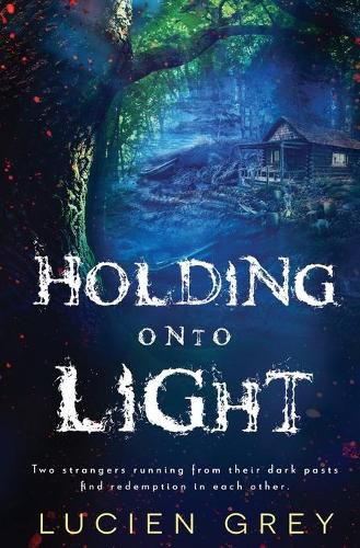 Cover image for Holding onto Light