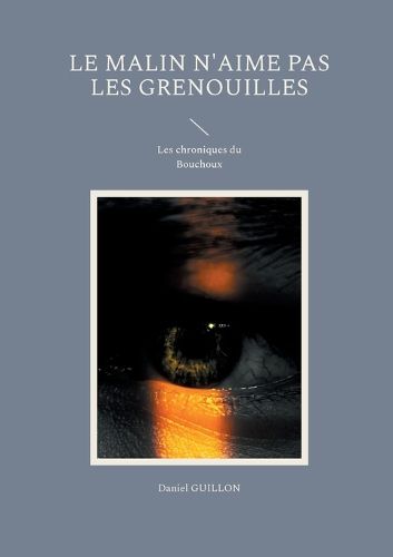 Cover image for Le Malin n'aime pas les grenouilles