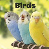 Cover image for Birds