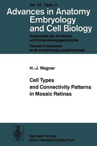 Cover image for Cell Types and Connectivity Patterns in Mosaic Retinas