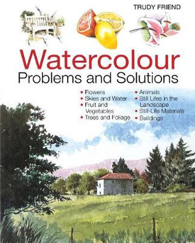 Cover image for Watercolour Problems and Solutions: A Trouble-Shooting Handbook