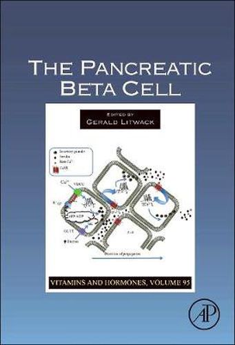 Cover image for The Pancreatic Beta Cell