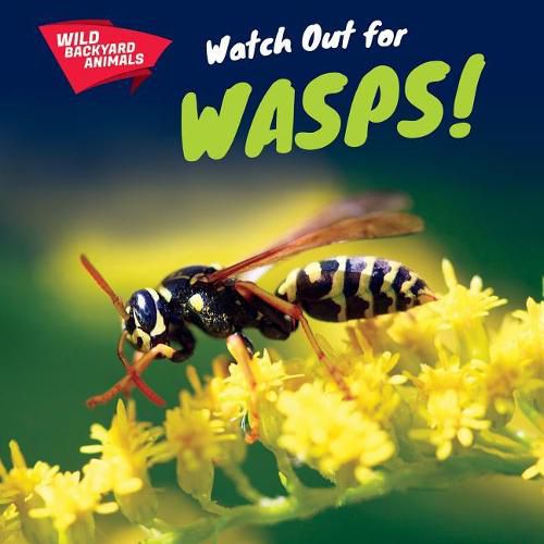 Cover image for Watch Out for Wasps!