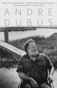 Cover image for Meditations from a Movable Chair