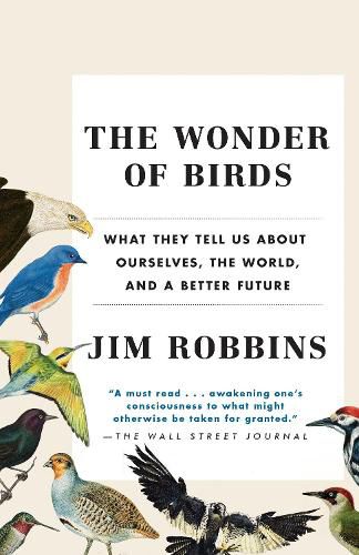 Cover image for The Wonder of Birds: What They Tell Us About Ourselves, the World, and a Better Future