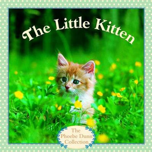 Cover image for The Little Kitten