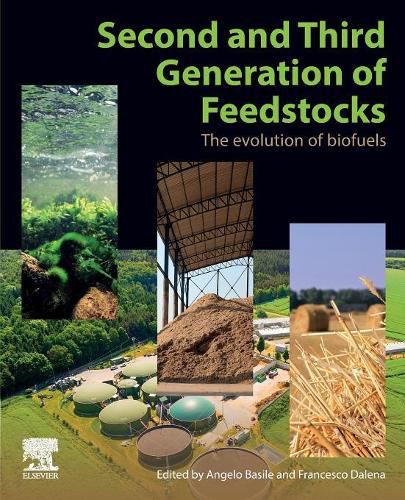 Cover image for Second and Third Generation of Feedstocks: The Evolution of Biofuels