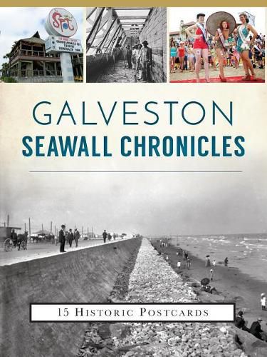 Cover image for Galveston Seawall Chronicles