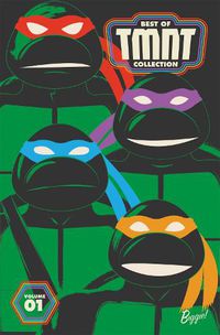 Cover image for Best of Teenage Mutant Ninja Turtles Collection, Vol. 1