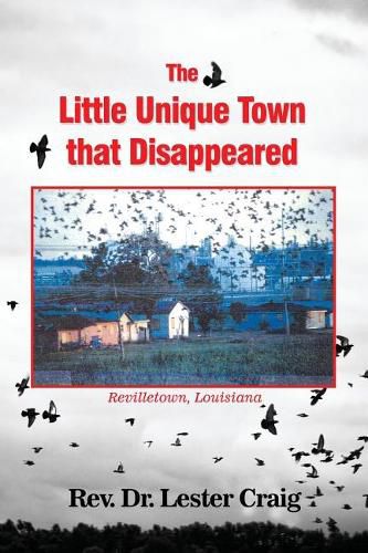 Cover image for The Little Unique Town that Disappeared