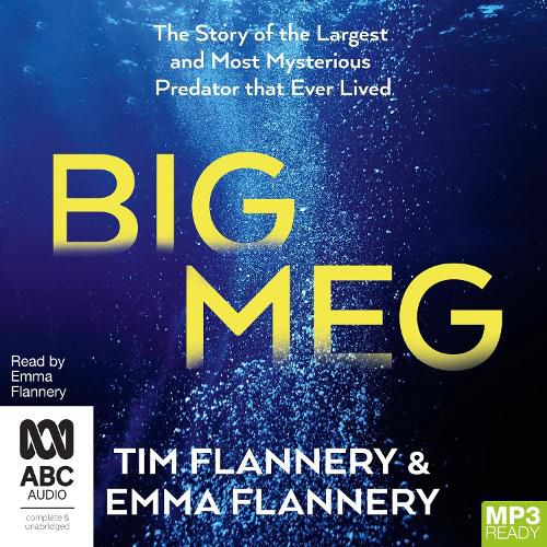 Cover image for Big Meg