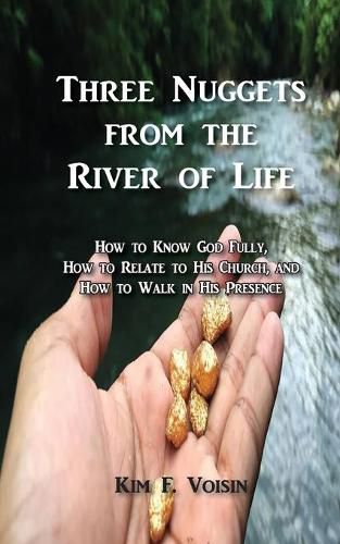 Cover image for Three Nuggets from the River of Life