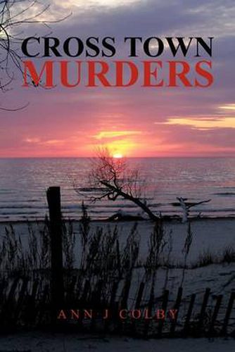 Cover image for Cross Town Murders