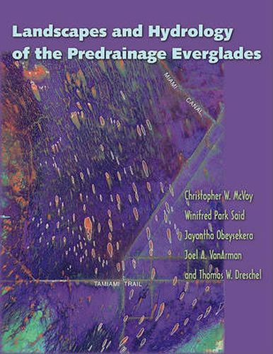 Cover image for Landscapes And Hydrology Of The Predrainage Everglades