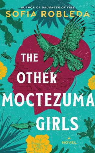 Cover image for The Other Moctezuma Girls