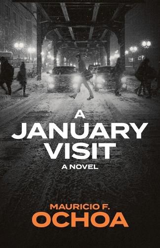 Cover image for A January Visit