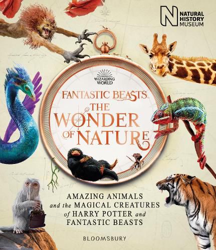 Cover image for Fantastic Beasts: The Wonder of Nature