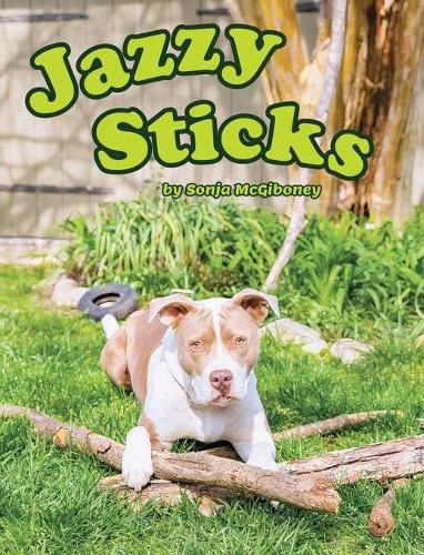 Cover image for Jazzy Sticks