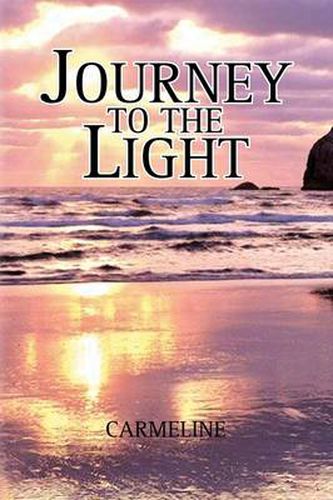 Cover image for Journey to the Light