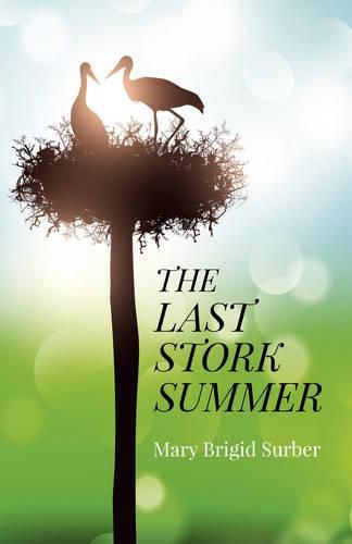 Cover image for Last Stork Summer, The