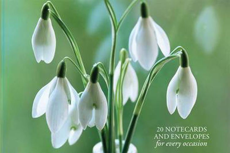 Cover image for Card Box of 20 Notecards and Envelopes: Snowdrop