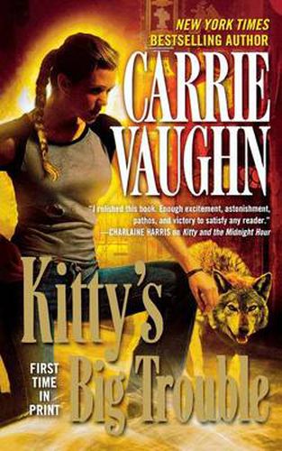 Cover image for Kitty's Big Trouble