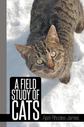 A Field Study of Cats
