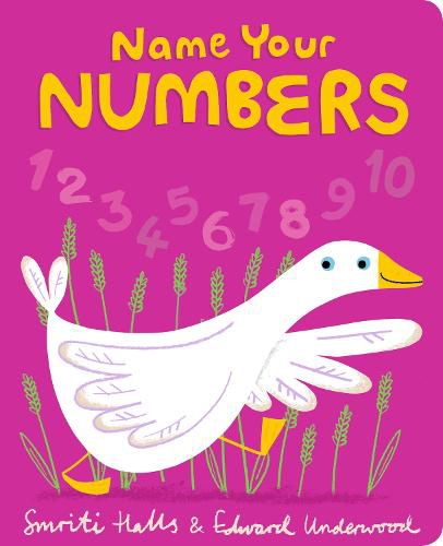 Cover image for Name Your Numbers