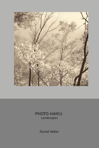 Cover image for Photo Haiku