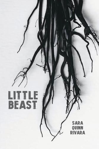 Cover image for Little Beast