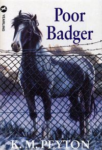 Cover image for Poor Badger