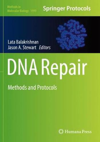 Cover image for DNA Repair: Methods and Protocols