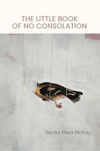 Cover image for The Little Book of No Consolation