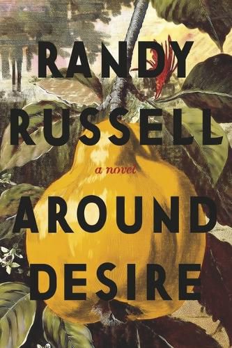 Cover image for Around Desire