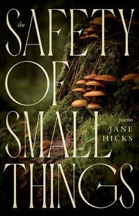 Cover image for The Safety of Small Things