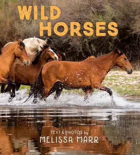 Cover image for Wild Horses