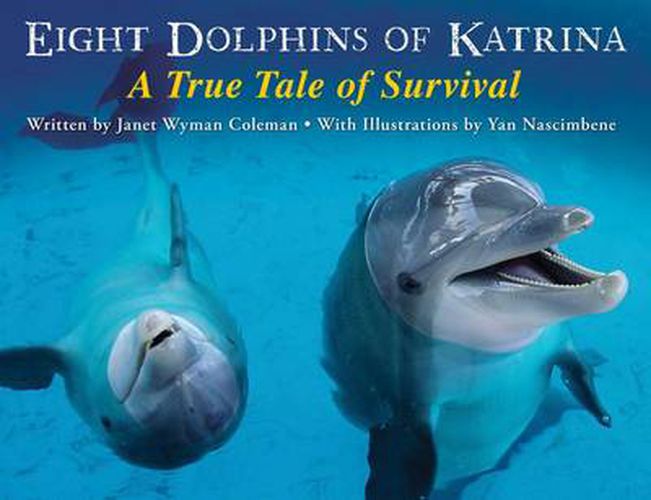 Cover image for Eight Dolphins of Katrina: A True Tale of Survival