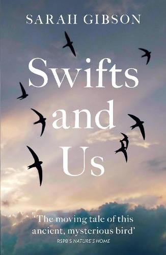 Cover image for Swifts and Us: The Life of the Bird That Sleeps in the Sky