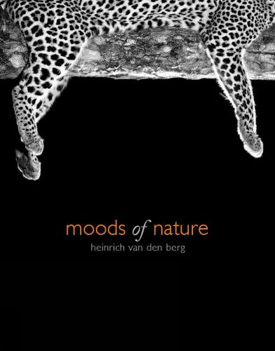 Cover image for Moods Of Nature: heinrich van den berg