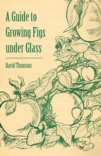 Cover image for A Guide to Growing Figs Under Glass