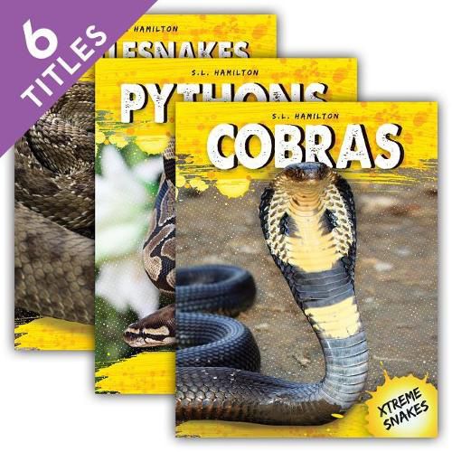 Cover image for Xtreme Snakes Set