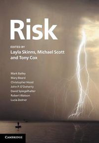 Cover image for Risk