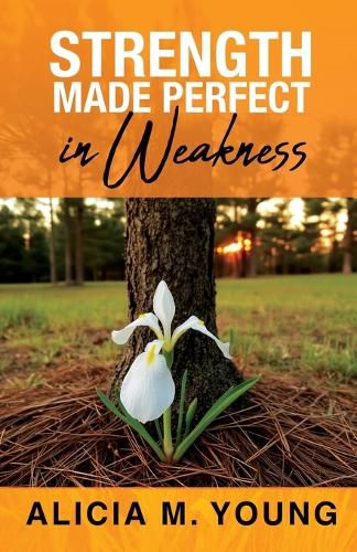Cover image for Strength Made Perfect in Weakness