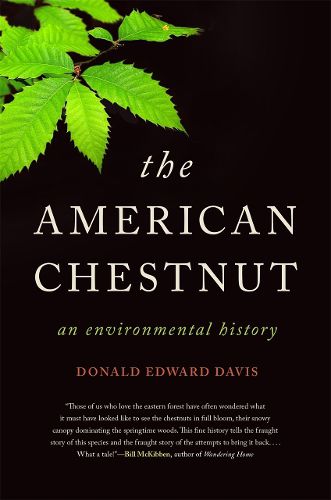 Cover image for The American Chestnut