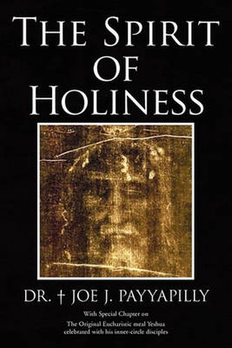 Cover image for The Spirit of Holiness