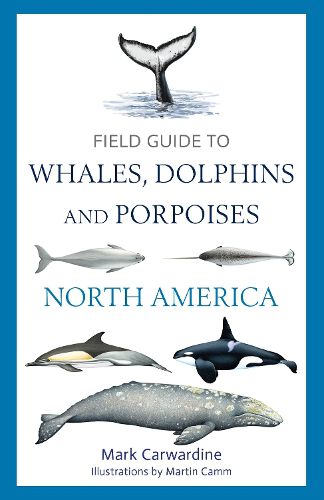 Cover image for Field Guide to Whales, Dolphins and Porpoises of North America