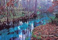 Cover image for Ichetucknee: Sacred Waters