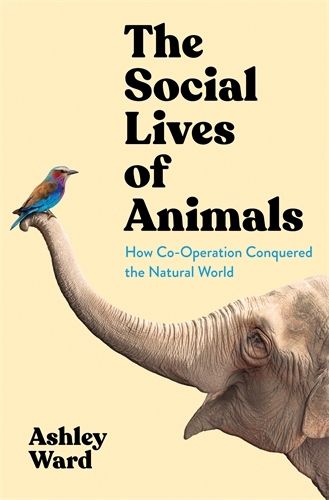 The Social Lives of Animals: How Co-Operation Conquered the Natural World