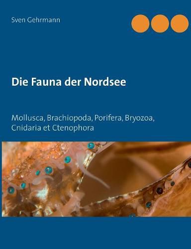 Cover image for Die Fauna der Nordsee: Mollusca, Brachiopoda, Porifera, Bryozoa, Cnidaria et Ctenophora