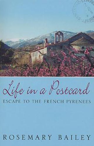 Cover image for Life in a Postcard